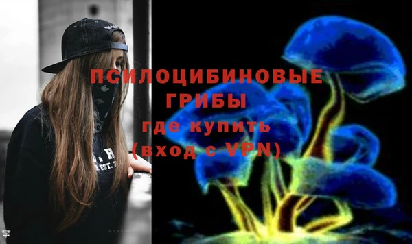 кокс Белокуриха