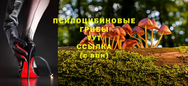 кокс Белокуриха