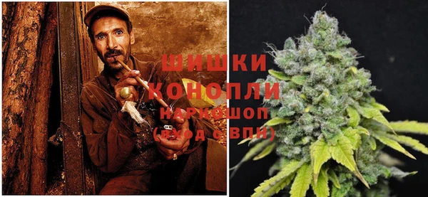 прущие грибы Белоозёрский