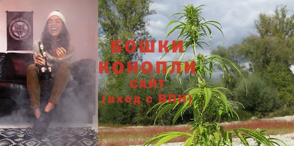 прущие грибы Белоозёрский