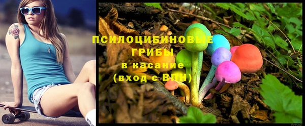МДПВ Строитель