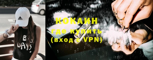 прущие грибы Белоозёрский