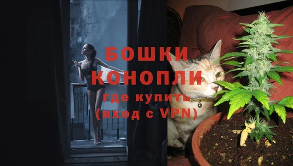 прущие грибы Белоозёрский
