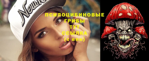 кокс Белокуриха