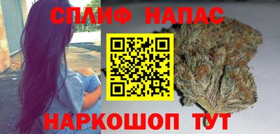 гашик Ярославль