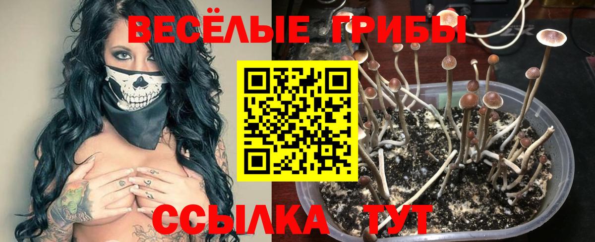 Галлюциногенные грибы ЛСД  Вход с VPN  Острогожск 