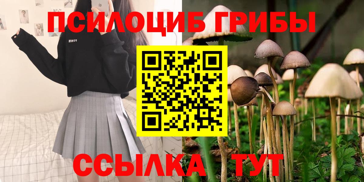 Галлюциногенные грибы Magic Shrooms Острогожск