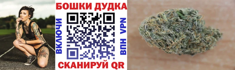 Шишки марихуана SATIVA & INDICA  Острогожск 